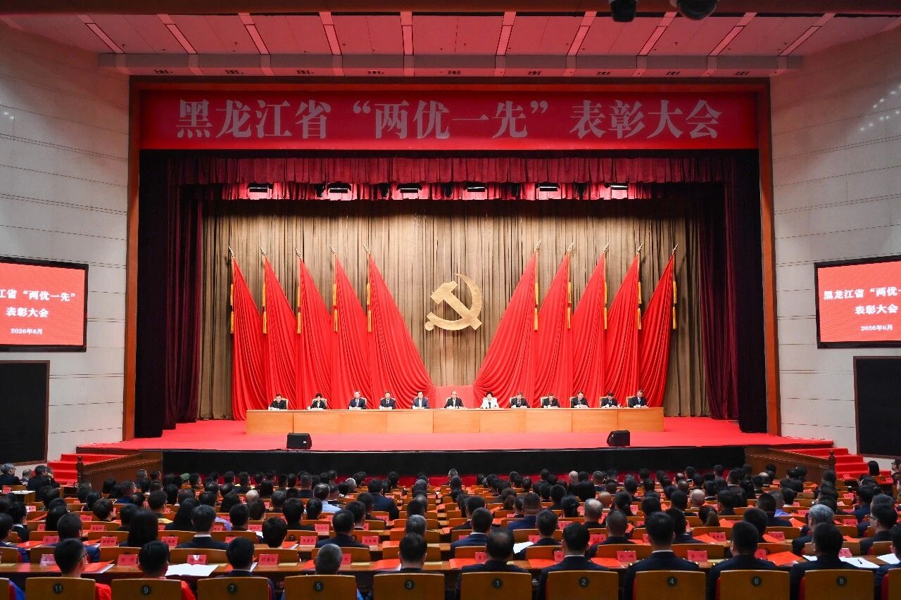 喜报！工大卫星党支部荣获黑龙江省先进基层党组织称号